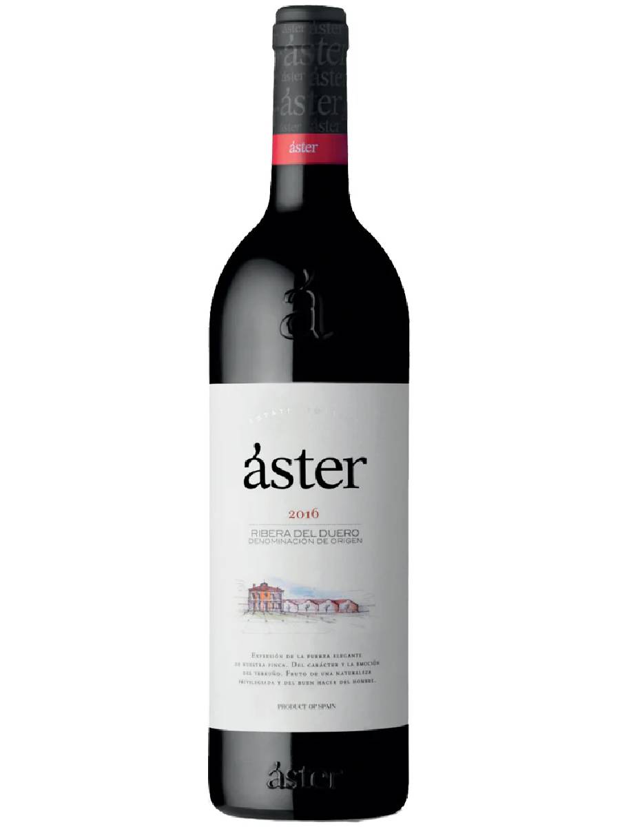 ASTER RIBERA DEL DUERO