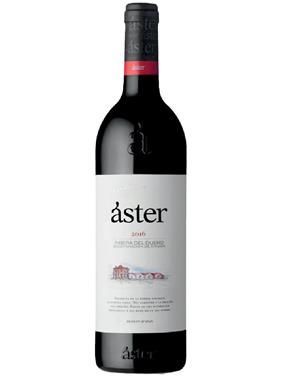 ASTER RIBERA DEL DUERO